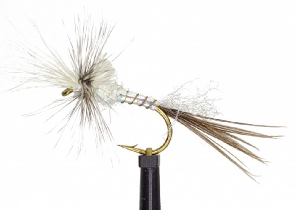 The Essential Fly White Drake Cripple Mayfly Fishing Fly