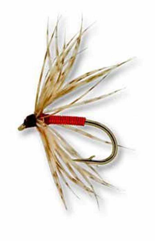 Woodcock And Red Brassie  - Northern Spider - Heritage Range