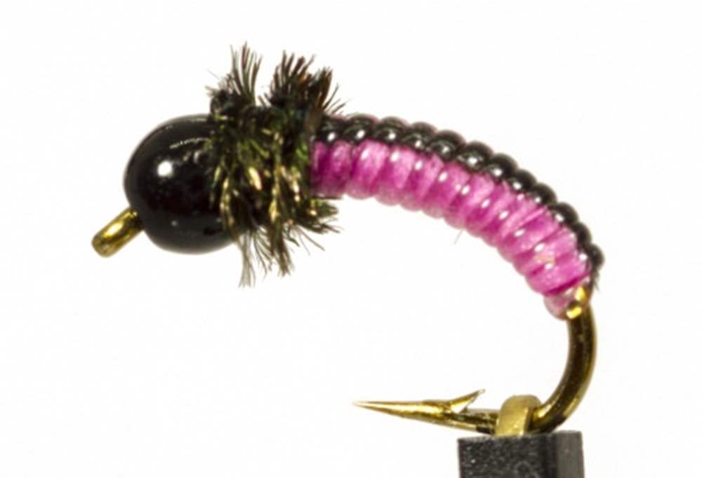 The Essential Fly Black & Pink Grub Fishing Fly