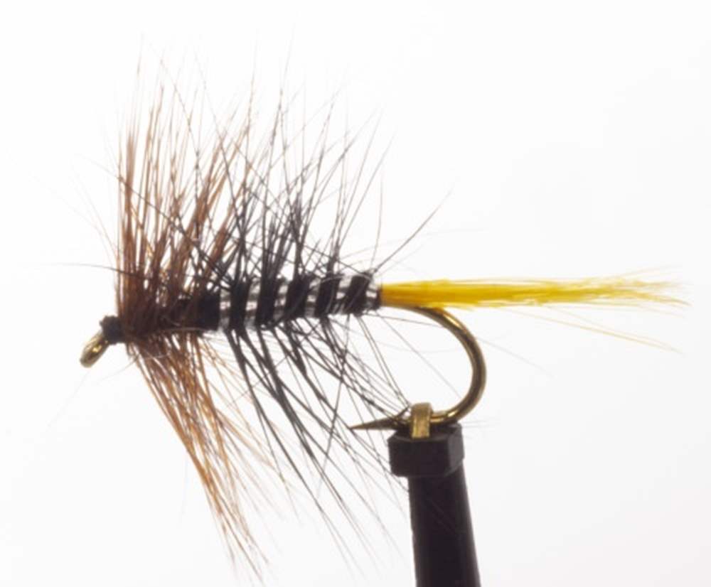 The Essential Fly Kate Maclaren Wet Fishing Fly
