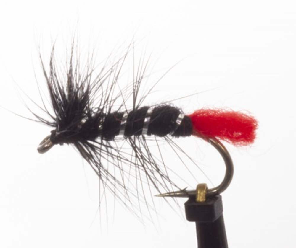 The Essential Fly Zulu Wet Fishing Fly