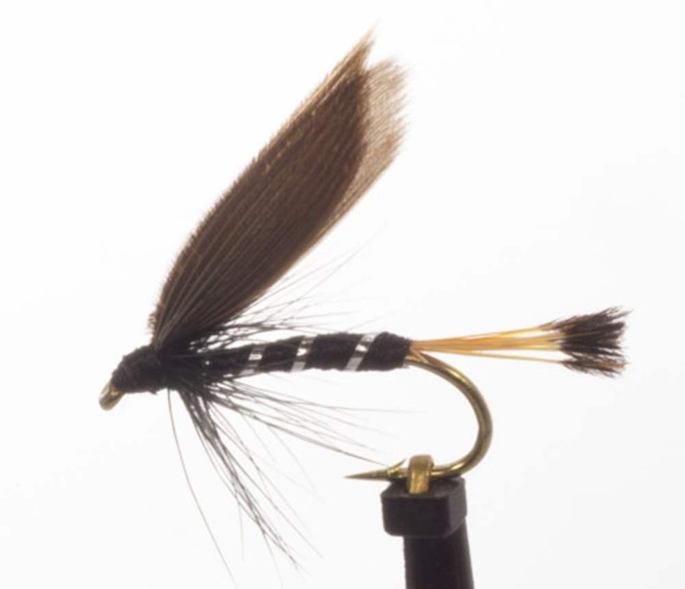 The Essential Fly Blae & Black Fishing Fly