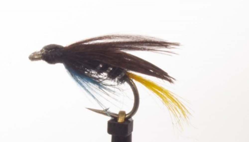 The Essential Fly Connemara Black Fishing Fly