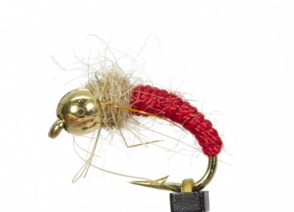 The Essential Fly Caddis Cased Red Fishing Fly