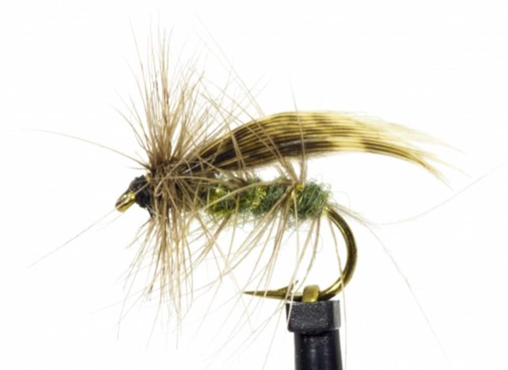 The Essential Fly Green Peter Sedge Fishing Fly