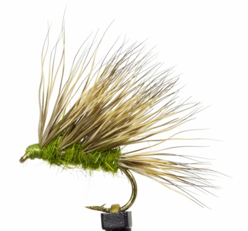 The Essential Fly Sedgehog Olive Fishing Fly