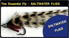 Saltwater Fishing Flies / Fly