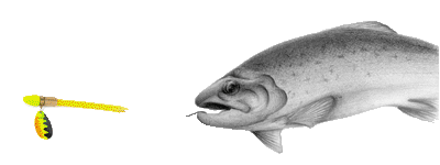 less leverage by Tubeology Tube Based Lures