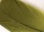 Veniard Goose Shoulder Soft Dark Olive Fly Tying Materials