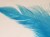 Veniard Schlappen Feathers Teal Blue Fly Tying Materials