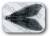 Hemingway's - Caddis Wings - Large - Black
