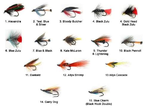 Seatrout and Trout Flies: 1