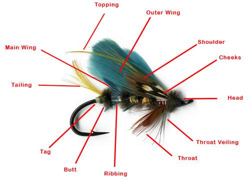 The Anatomy of a Fly Fishing Setup - Overton's