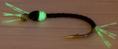 Luminous Buzzer Fly under UV Light