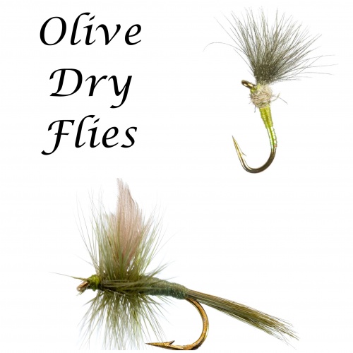 Caledonia Flies Olive Grunter Dry Barbless #12 Fishing Fly