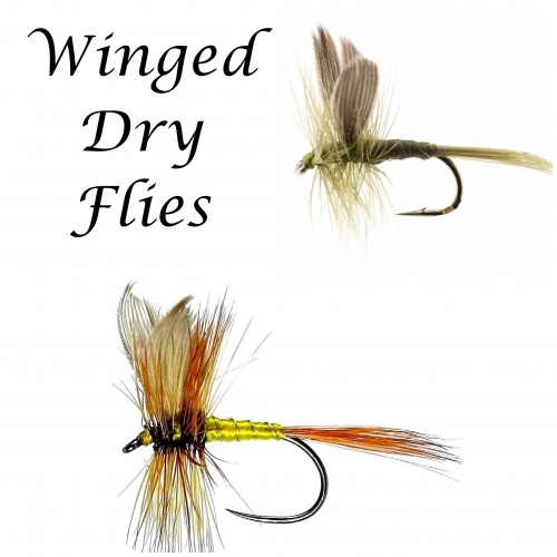 Trout Dry Flies With Winged Fly Patterns
