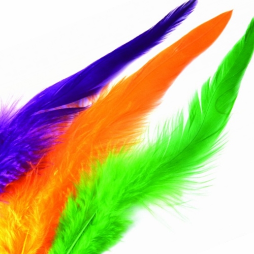 Guinea Hen Feather Saltwater Hackle Fly Tying Material – LeLe Flies