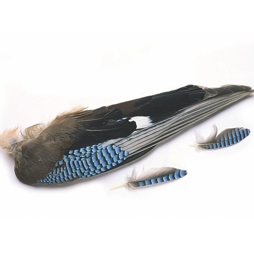 Veniard Turkey Marabou Feathers Medium Olive Fly Tying Materials