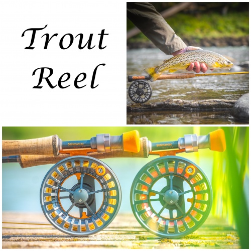 Trout Fishing For Beginners