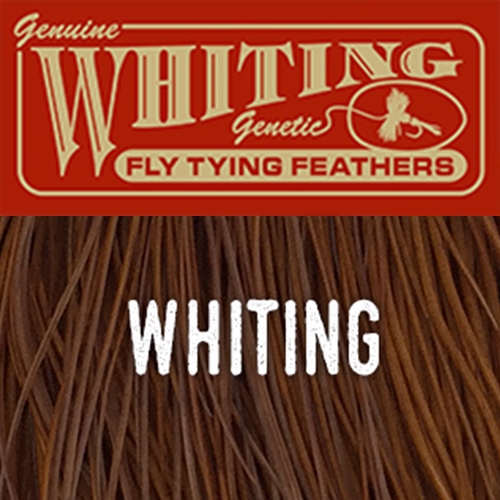 Whiting Dry Fly hackle