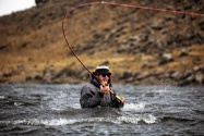 Premier Spey Fly Lines, Heads & Tips