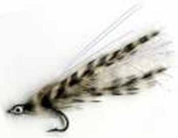 Saltwater Flies All
