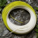 Triangle Taper Plus Fly Line