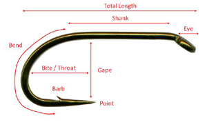 Hook Anatomy