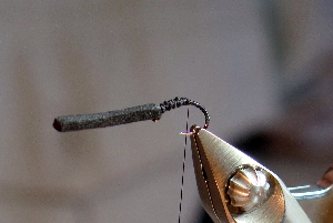 Tailwater Assassin Nymph Emergers UV Black – 6 Mosche Da Pesca A Mosca Premium Per Trota