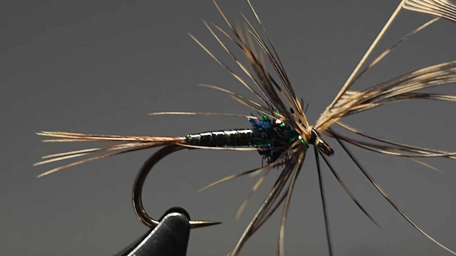 Tie A Quill Cruncher!
