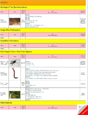 Hatch Charts for UK Rivers & Stillwaters