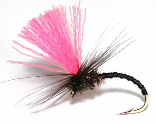 When all else fails- Black Magic! Tie or buy! Stunning Salmon Hairwings!