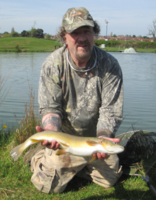 Brown Trout Salmo trutta Fly Fishing