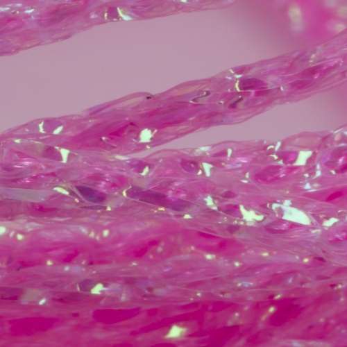 Semperfli Body-n-Rib Fl Pink