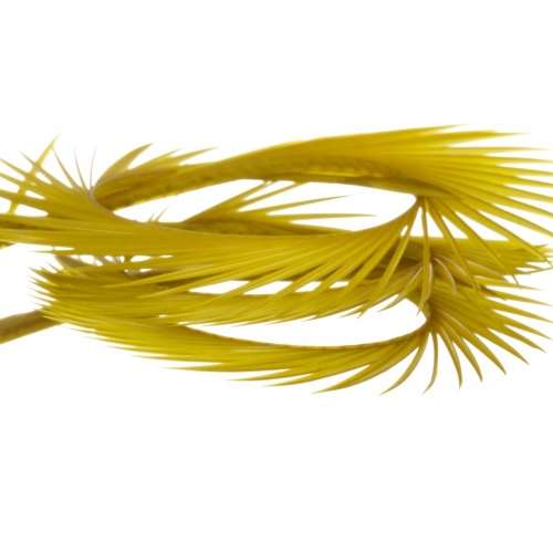 Semperfli Natural Range Goose Biots Golden Olive Fly Tying Materials