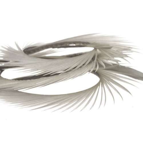 Semperfli Natural Range Goose Biots Grey Fly Tying Materials