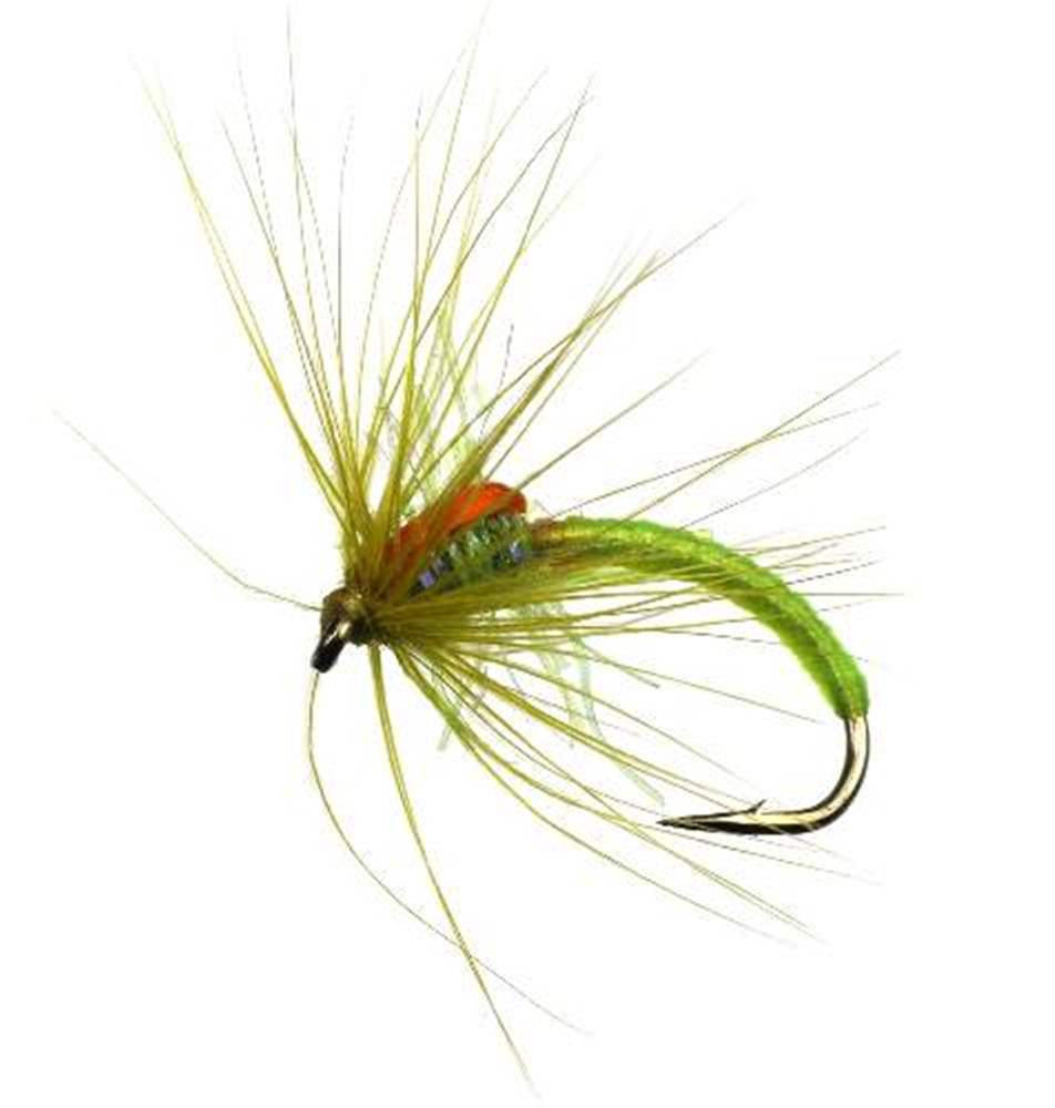 The Essential Fly Patricks Lime Duck Fly Fishing Fly