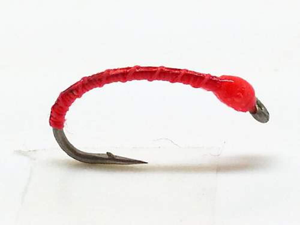 The Essential Fly Sandys Flashback Blank Buster Bloodworm Fishing Fly