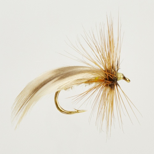 The Essential Fly Europe 12 Fishing Fly