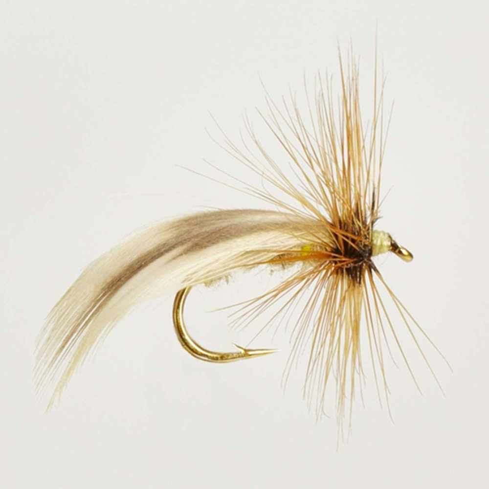 Sedge Trout Flies Great Patterns From The Essential Fly