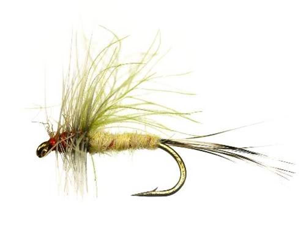 The Essential Fly Cjs Ducks Dun Olive Charles Jardine Fishing Fly