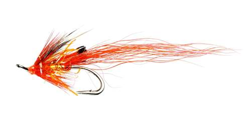 Caledonia Flies Ally's Pearl Patriot Double #10 Salmon Fishing Fly