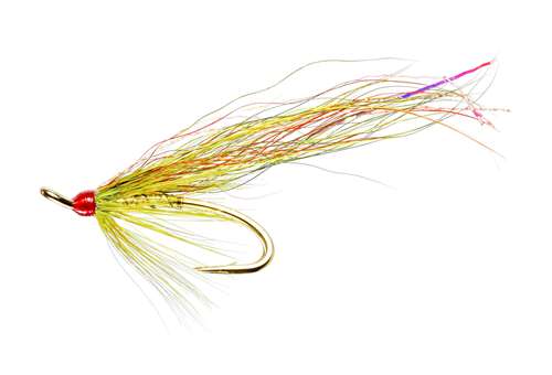 Caledonia Flies Alistair's Cascade Patriot Double #8 Salmon Fishing Fly