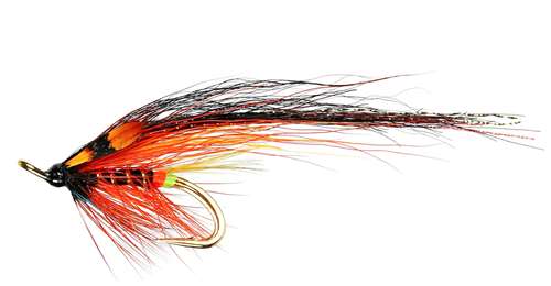 Caledonia Flies Thunder & Lightning Jc Patriot Double #8 Salmon Fishing Fly