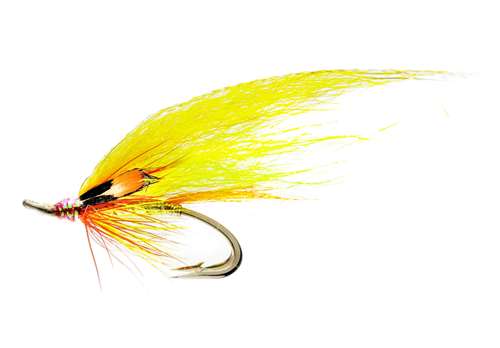 Caledonia Flies Flame Thrower Banana Jc Patriot Double #8 Salmon Fishing Fly