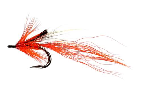 Caledonia Flies Ally's Shrimp Nordic Double #12 Salmon Fishing Fly