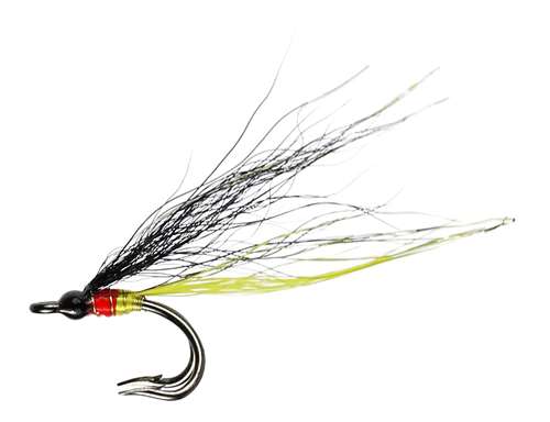 Caledonia Flies Tadpole Nordic Double #12 Salmon Fishing Fly