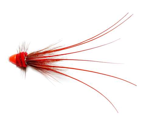Embers Tung Conehead 6mm