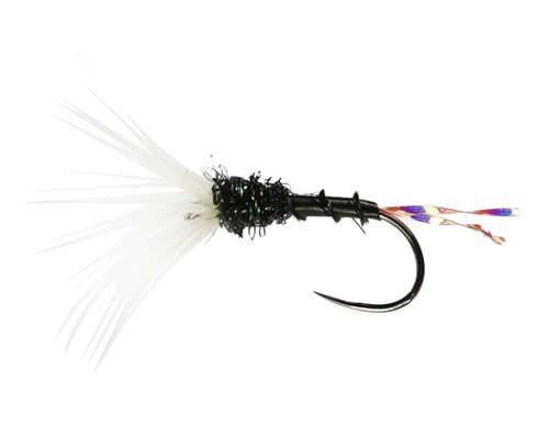 Caledonia Flies Black Funnel Hackled Dry Barbless #16 Fishing Fly