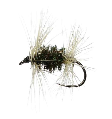 Caledonia Flies Double Badger Hackled Dry Barbless #16 Fishing Fly